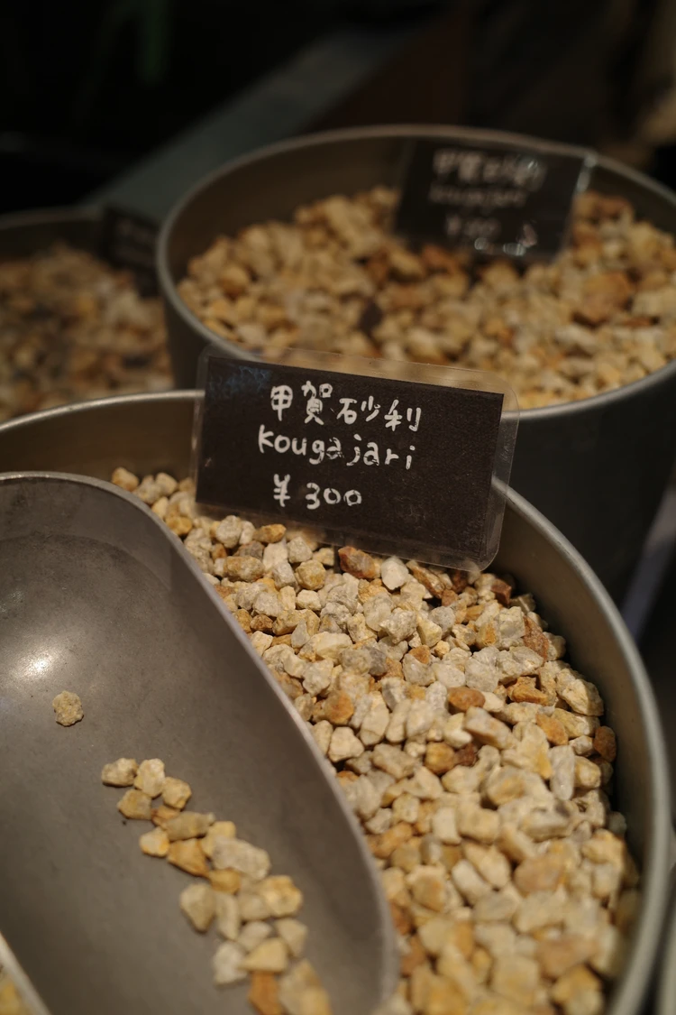 garageshibuya 鉢植え 観葉植物