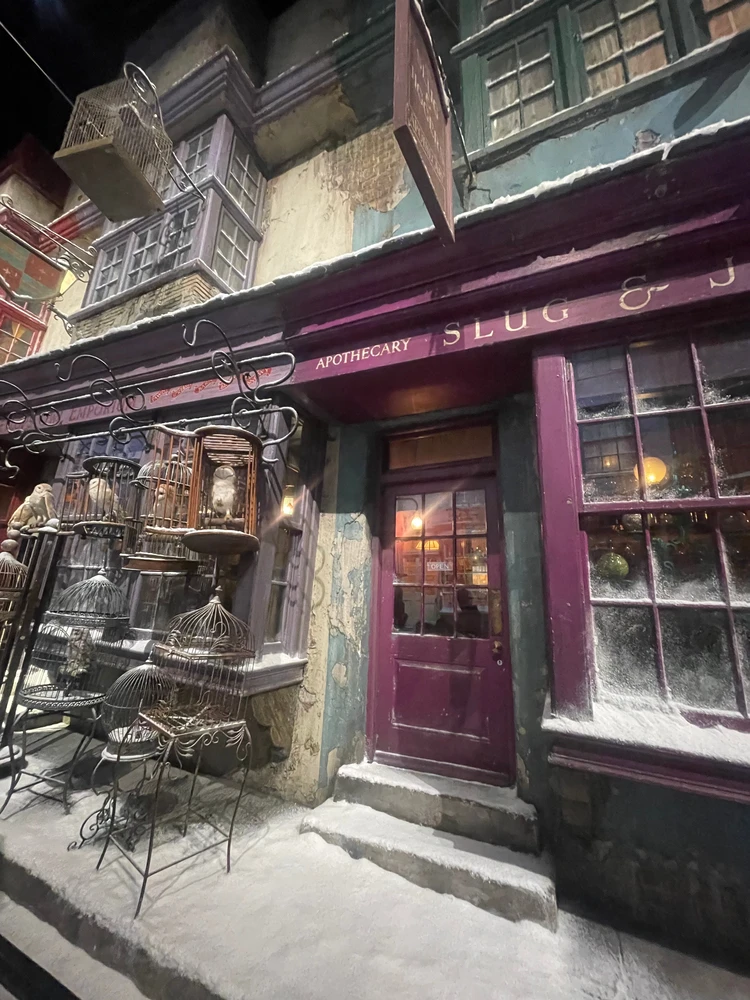 ハリポタツアーの雪化粧「HOGWARTS IN THE SNOW」へ！_22