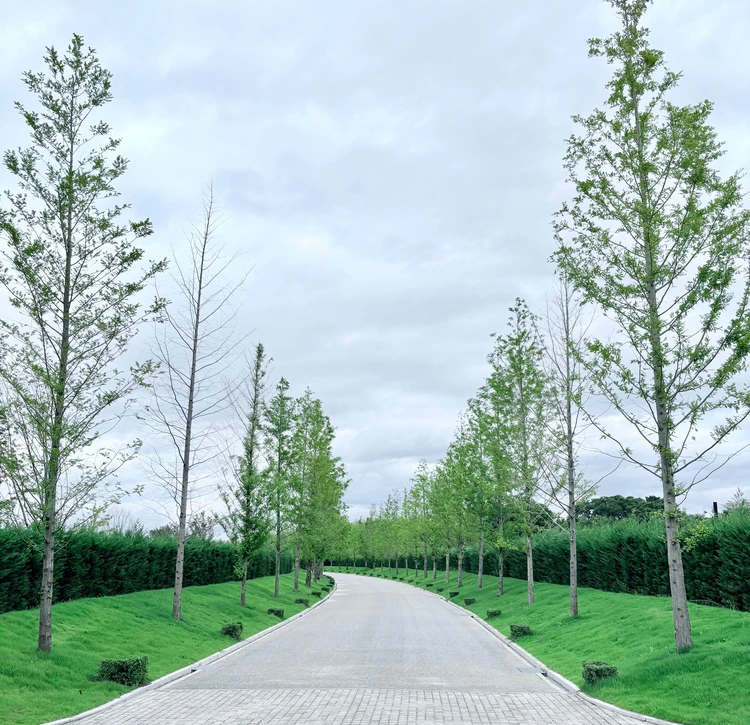 サンクチュアリコート琵琶湖宿泊記｜“水の宮殿”で過ごす大人の贅沢ホカンス_2