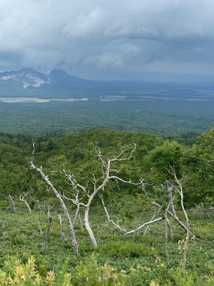 【北海道 道東エリア】網走・知床・弟子屈2泊3日絶景旅③摩周湖・硫黄山・屈斜路湖編_9