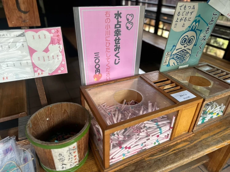 【秩父・長瀞日帰り女子旅-後編-】夏に行きたい♡かき氷・ライン下り・流しそうめんを楽しむ欲ばりモデルコース_14