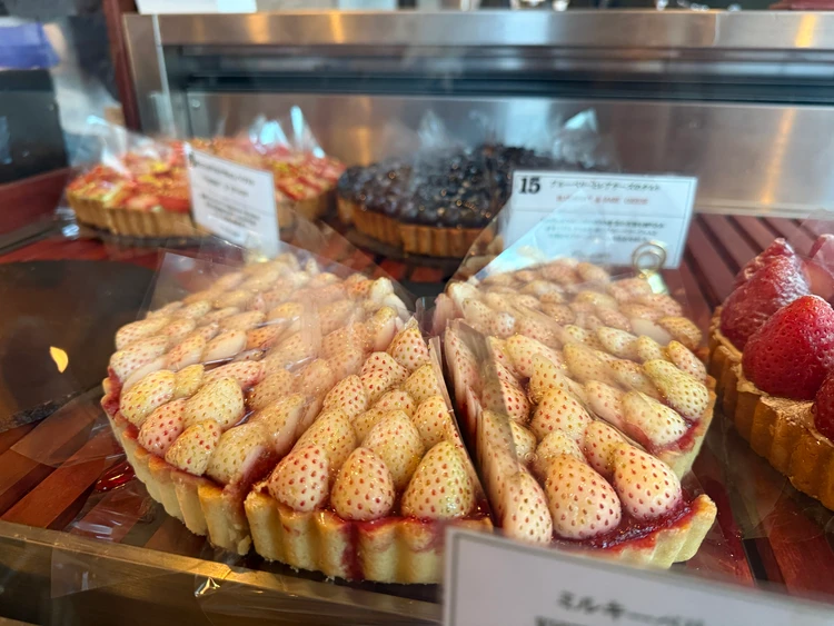 ゴールデンウィークに訪れたいお店！