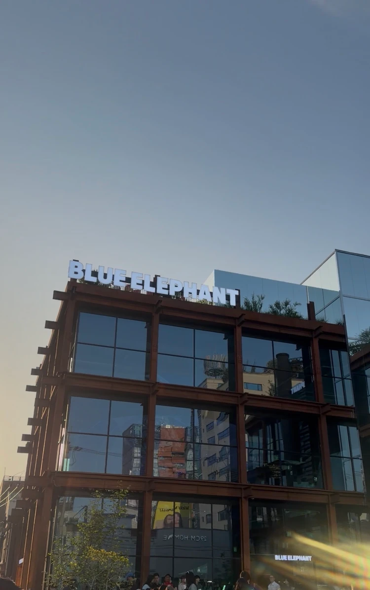 Blue Elephant ソンス セレクトショップ 鏡張り 店内