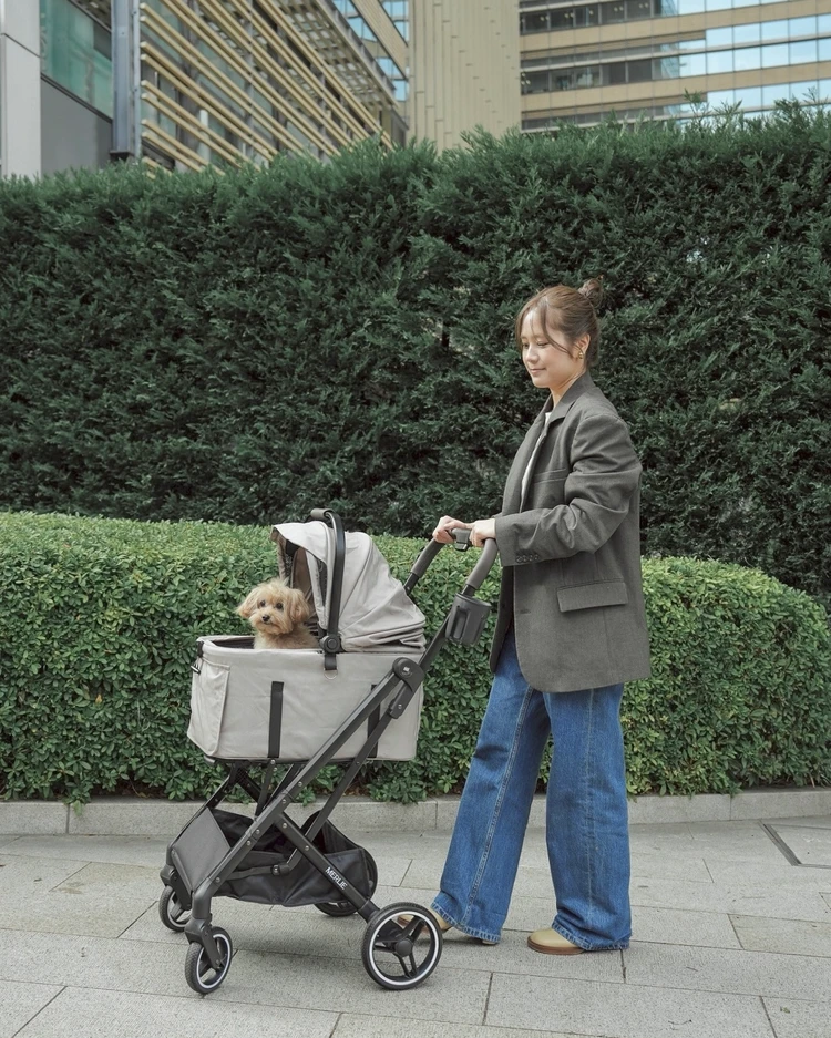 おしゃれな犬用ペットキャリーならこれ！軽くて可愛いと話題のブランドをレビュー_4