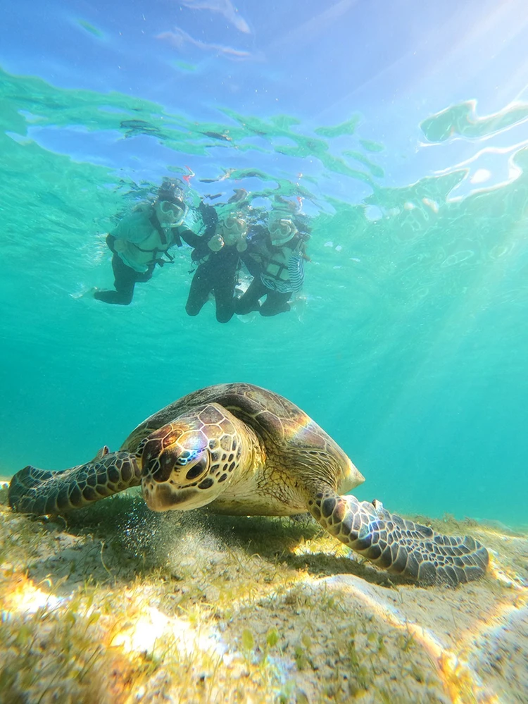 【宮古島】シュノーケル＆クリアサップ_3