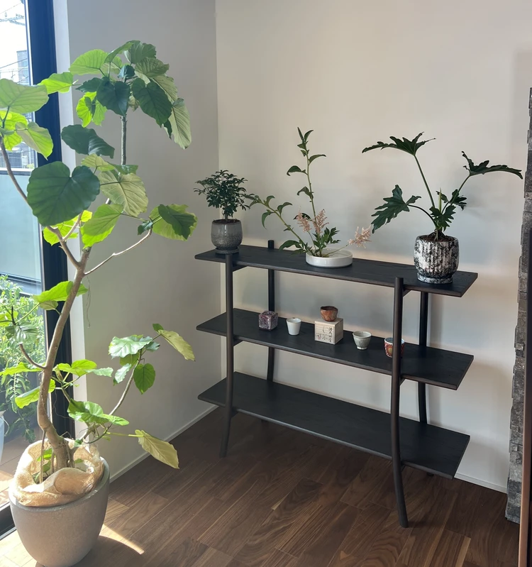 心地よいグリーンのある暮らし。我が家の観葉植物たち#おうち部_3
