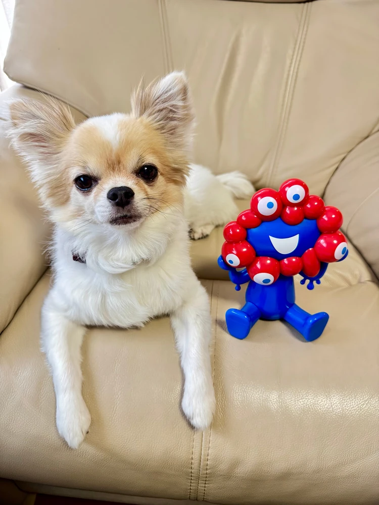 【長野・軽井沢】熊野皇大神社 |　愛犬