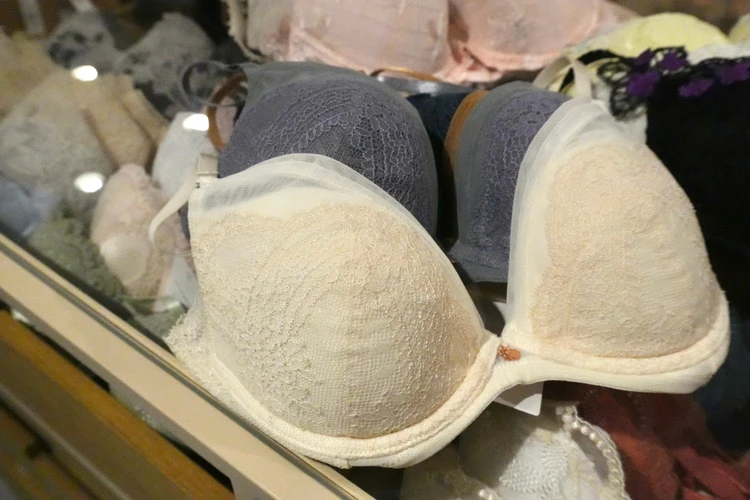 トリンプ シンプルなシリーズも