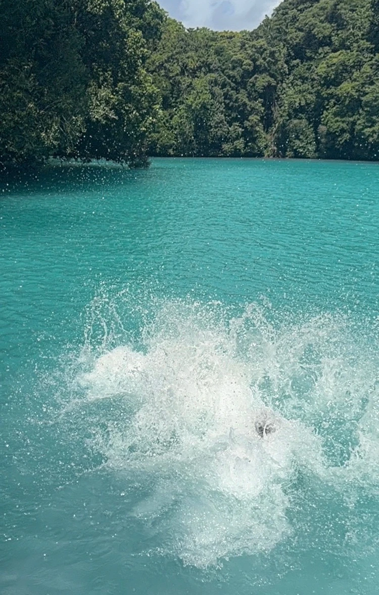 【パラオ旅行⑤】パラオで楽しかったアクテビティ_1