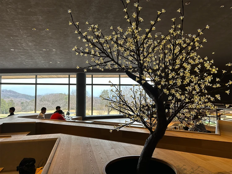 年60回ラウンド #ゴルフ部の厳選ゴルフ飯3選_5