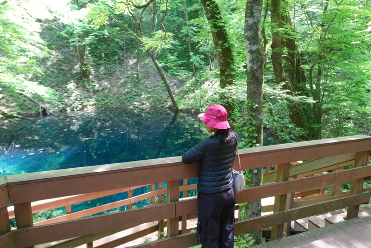 【2日目｜青森】十和田湖と白神山地を巡る大自然の東北絶景旅_6_3