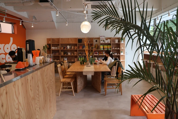 【札幌】紅葉見頃！中島公園（＋ススキノ）を弾丸ゆったり楽しむ１泊２日旅【2025年秋モデルコース】_15