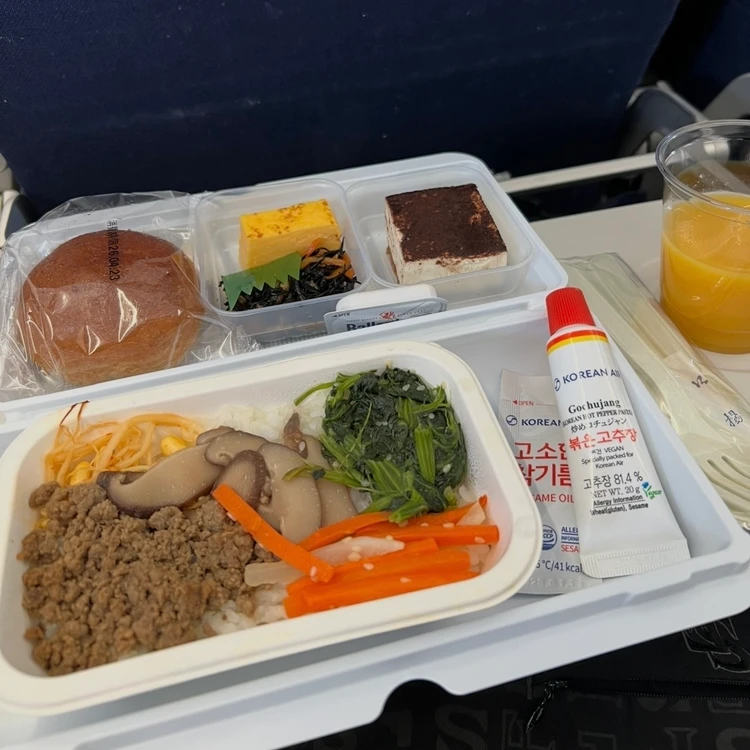 行きの機内食ビビンバ
