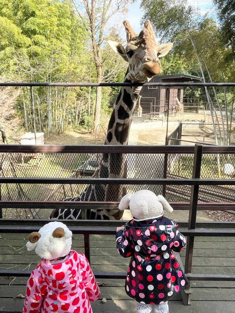 0距離で動物とふれあえる、“特別な1日”がここにあった_1