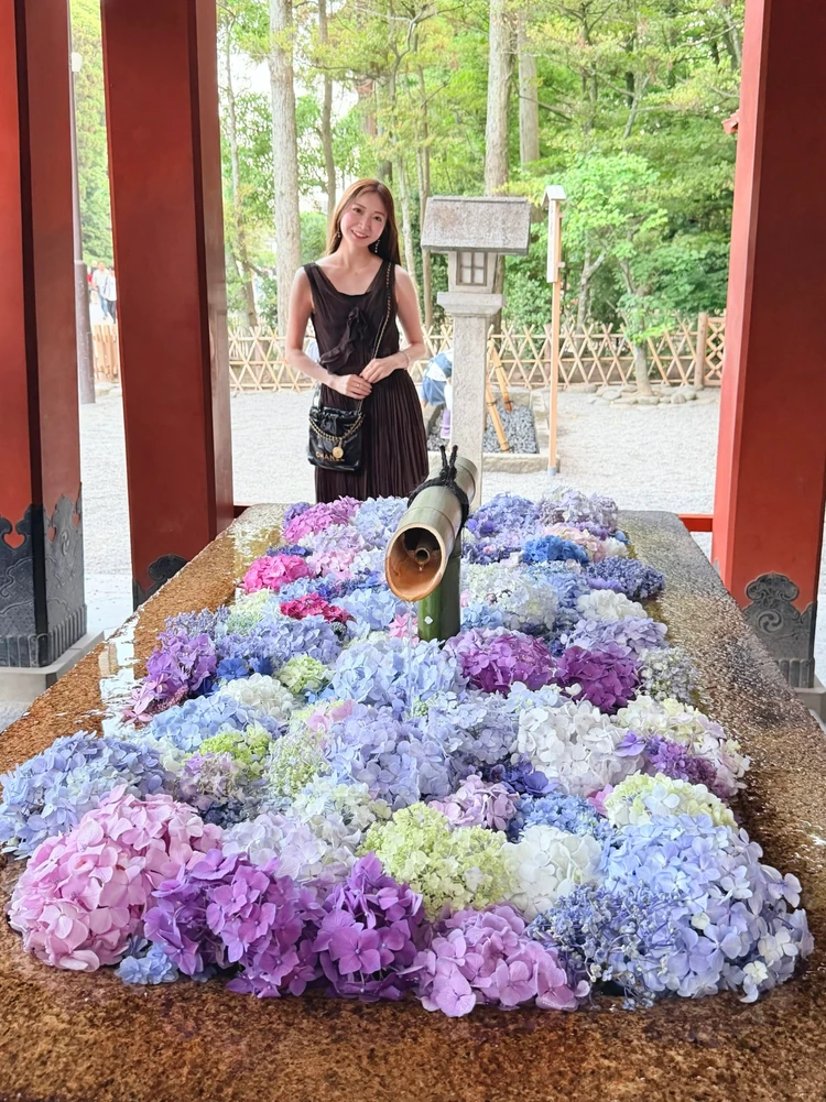 鎌倉　鶴岡八幡宮　花手水　あじさい　紫陽花　旅行ブログ　日帰り