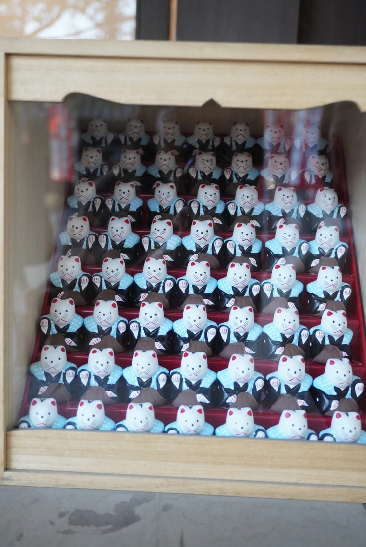 【初辰猫】小猫が48匹