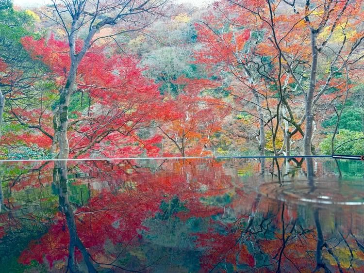 【京都嵐山】嵐山祐斎亭の紅葉・逆さもみじ