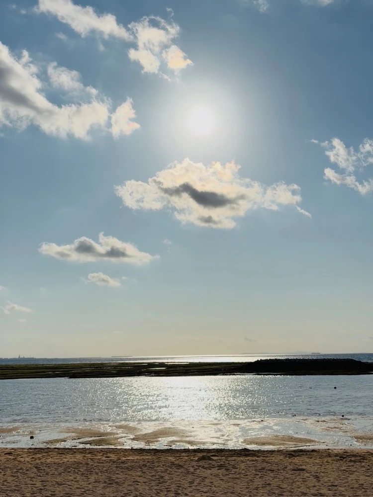 【後編】沖縄・阪神キャンプ！心もお腹も満たされる満喫プラン_5_1