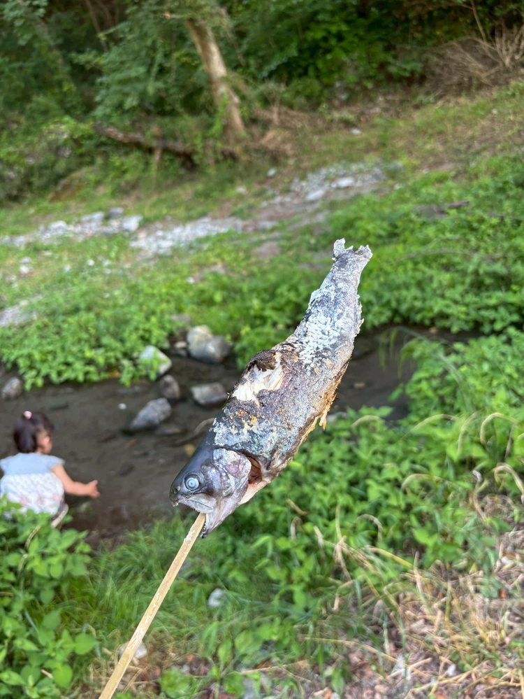 🌲0歳＆2歳と一緒に！自然たっぷり癒しの奥多摩日帰り旅行プラン【釣り・BBQ・美食・温泉】 #旅行部_1