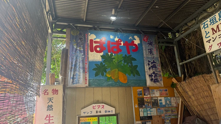 石垣島フルーツジュースのぱぱや
