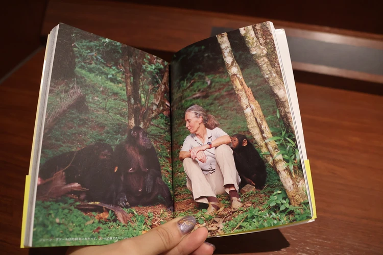 【館山】都内から２時間！ 本×カフェでゆっくり時間２選【グドール女史追悼】_8_2