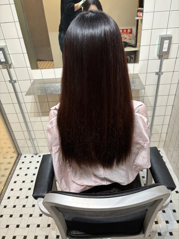 【教えたくない】剛毛・くせ毛の私が5か月でサラサラ髪に！おすすめ美容院＆ヘアケアを公開_3