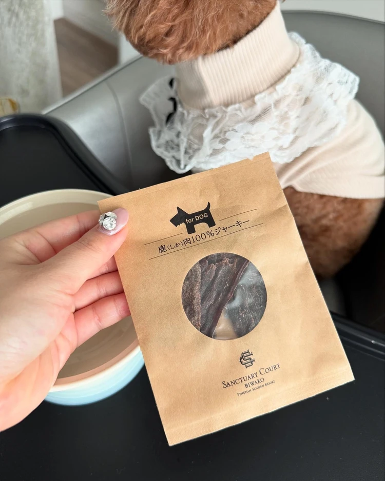 【愛犬と泊まれるお宿】宿泊レポinサンクチュアリコート琵琶湖_6