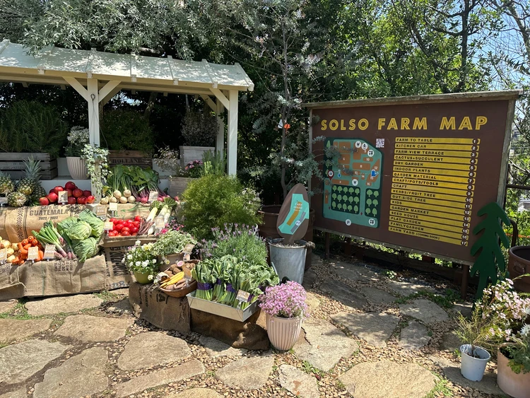 緑とお洒落とヘルシーが叶う！『SOLSO FARM』の初夏_10_3