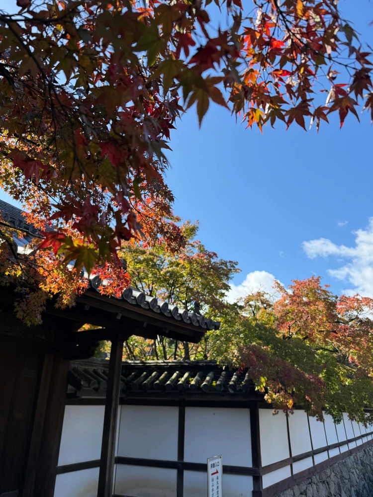 南禅寺の紅葉