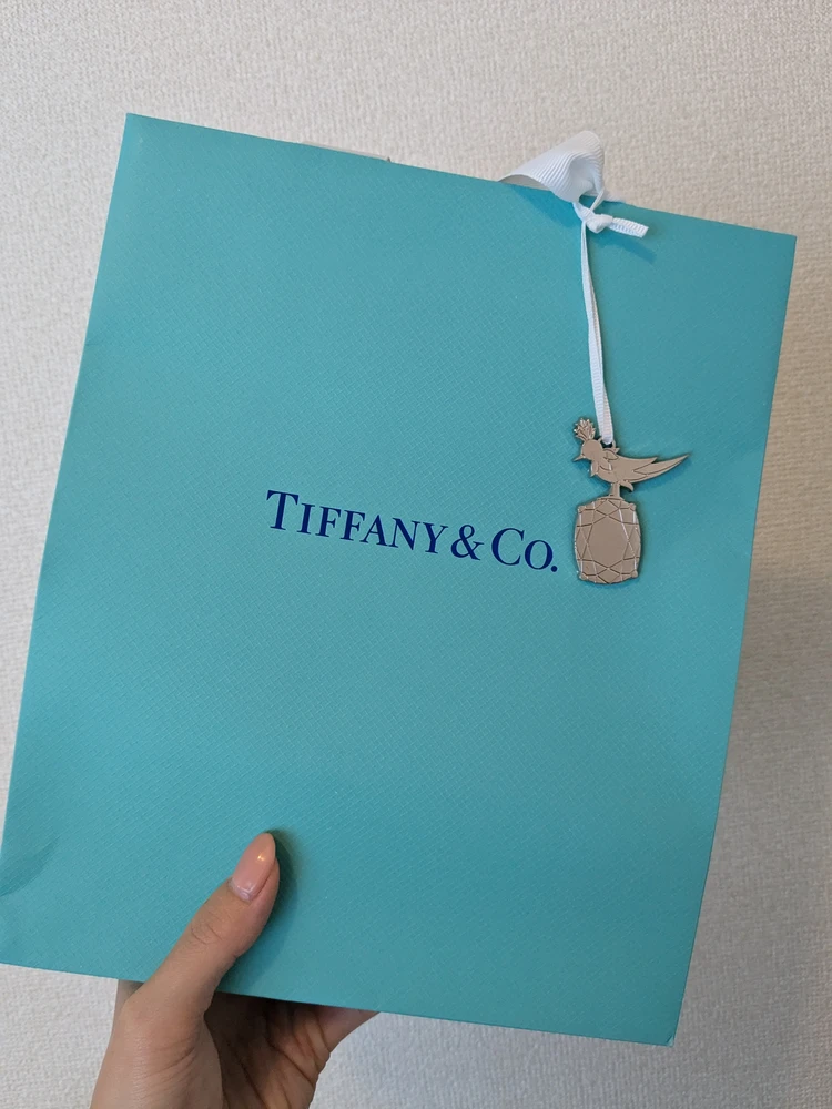 【Tiffany & Co.】骨スト・ブルべ冬のアラサー夫婦がティファニー「ミルグレイン バンド リング」を選んだ理由#結婚指輪_2_1
