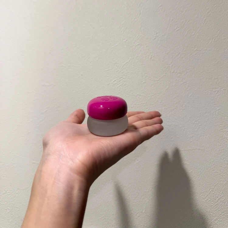 【韓国コスメ】ブルベ冬愛用❤️韓国リップ2選_4