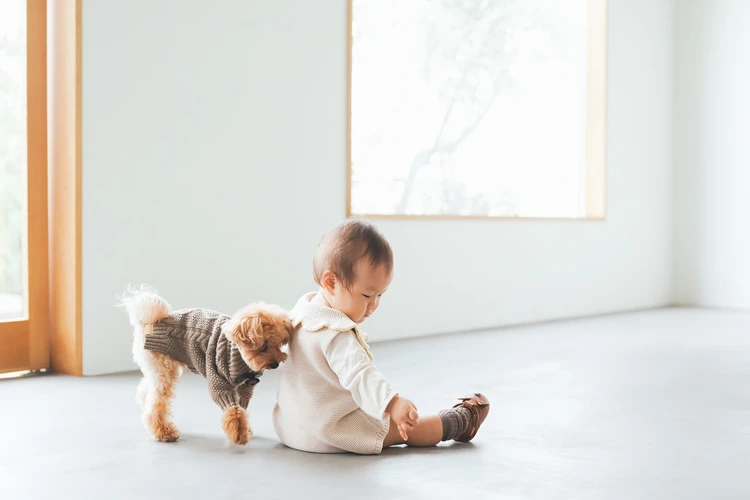ママさん必見！ニューボーンフォト、七五三などハレの日に使いたい自然光の入る撮影スタジオ_2