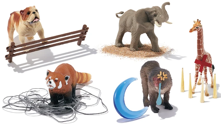 【敏感肌タイプ別チャート診断】あなたの「敏感肌症状」はどこから？ タイプを見極めタフ肌に！