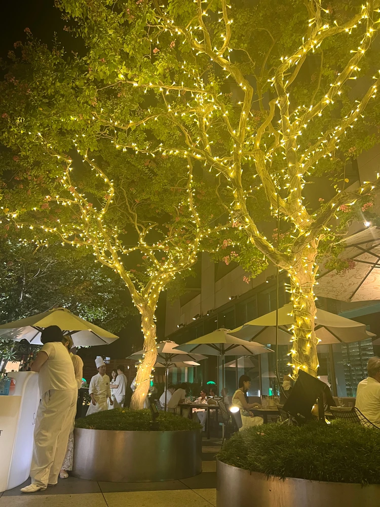 【夏の恒例イベント】ソワレブランシュ2025参加レポート_2_2