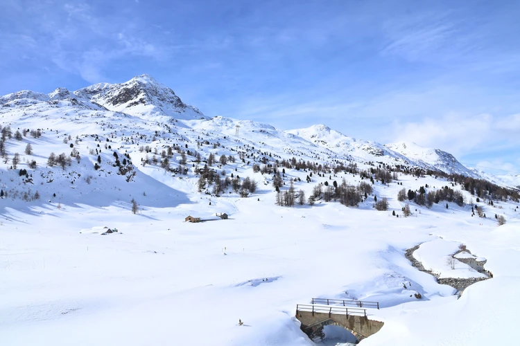 【世界遺産】車窓が美術館！ベルニナ急行で巡る色のコントラストと絶景旅【イタリア⇔スイス】_13