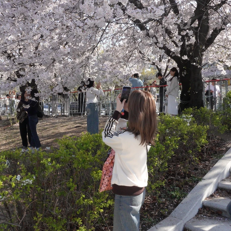 【韓国スタバ限定】お餅×チョコの新感覚スイーツ♡_1_2