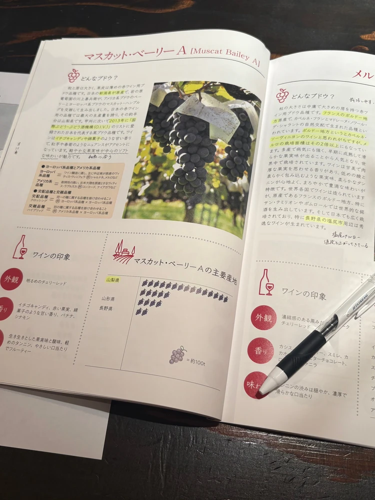 【資格取得レポ】J.S.A.ワイン検定 ブロンズクラスを受検してきました！_2_2