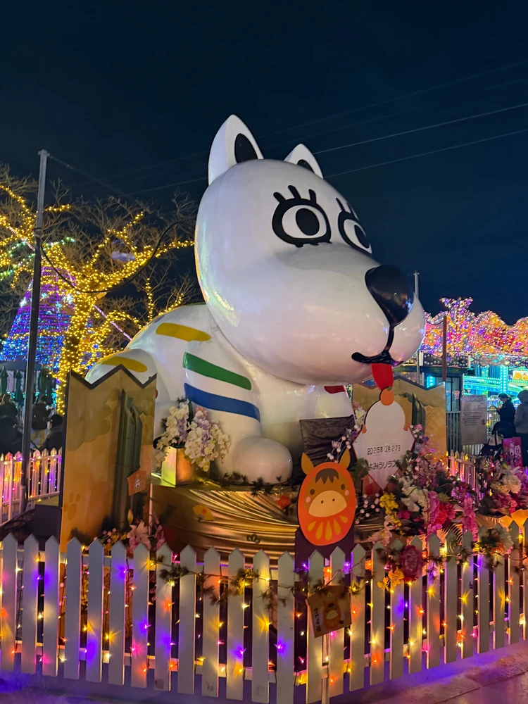 冬のご褒美デート。読売ランド「ジュエリミネーション」✨_1_1