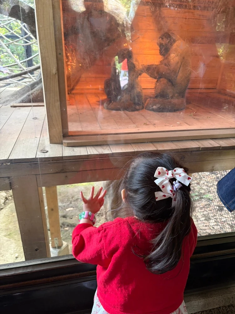 【子連れ完全ガイド】よこはま動物園ズーラシアレポ｜0歳・2歳でも1日楽しめる！広すぎる動物園のリアル体験_3