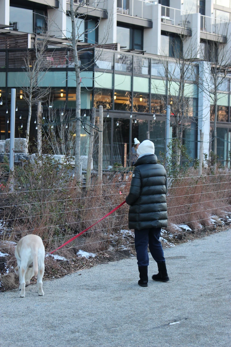 New Yorkのおすすめスポットと、留学中に出会った「忘れられない絶景」 #カメラ部_3_1