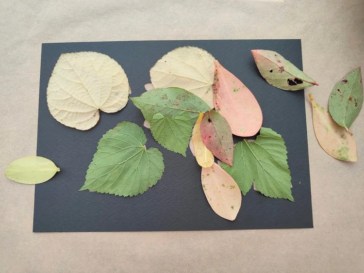 リゾナーレ那須　ポストカード作り　体験