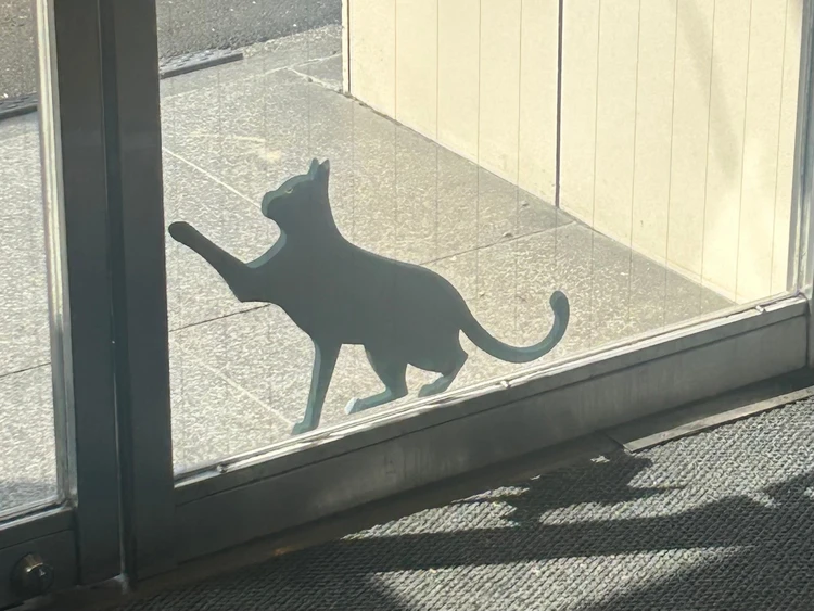 スタバ店頭のガラスドアに飾られた黒猫のデコレーション。ハロウィン気分を盛り上げるモチーフで来店客を迎えている。