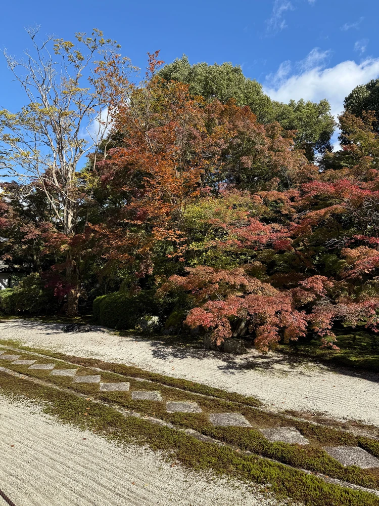 天授庵・幾何学模様の石畳
