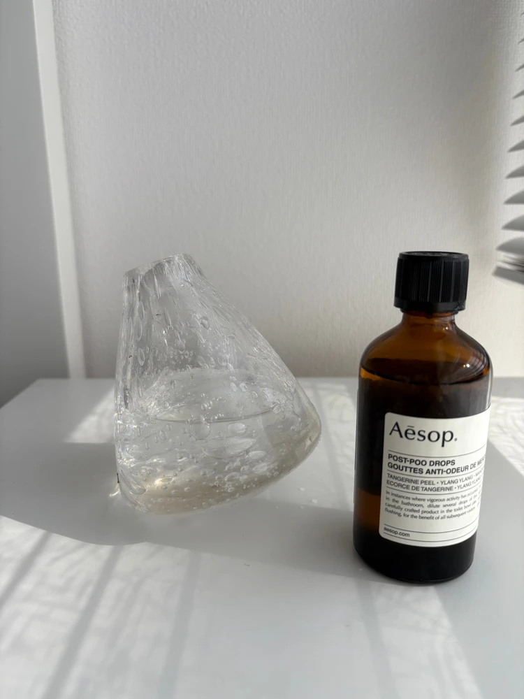 梅雨のこもり臭解決！たった数滴で部屋中がAesop♡Aesopの消臭・芳香剤が優秀すぎた_1_2