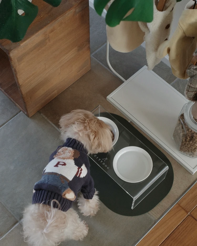 ワンちゃんをお迎えしたお家におすすめしたい気分が上がるインテリア_2