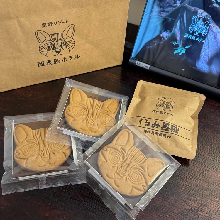 【西表島ひとり旅・ホテル編】西表島ホテル by 星野リゾートで気ままにおひとりさまステイ_21