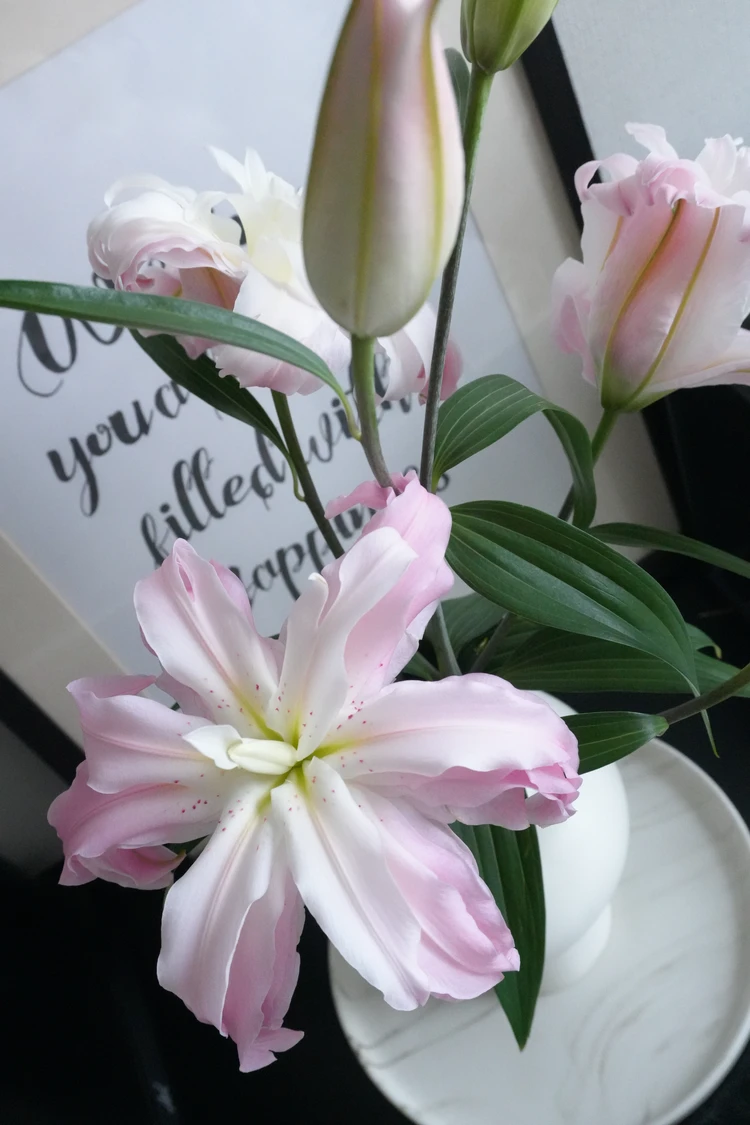 ピンクのゆり|華やかさと女性らしさをプラス