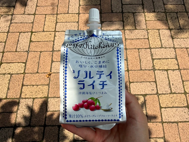 夏のディズニーに持って行った冷凍したパウチのドリンク
