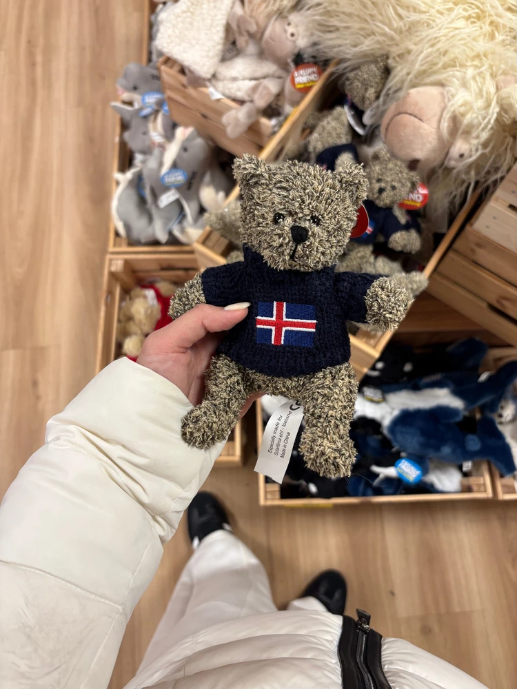 暮らすように旅する北欧・アイスランド! 大自然とカフェ巡りを4日間で堪能するモデルコース|後編_4_1