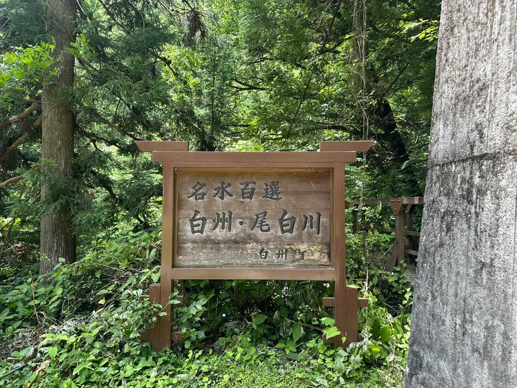 【真夏でも涼しいひんやり避暑スポットVol.1山梨編】尾白川渓谷・サントリー天然水南アルプス白州工場で、清流と大自然に癒される旅_1